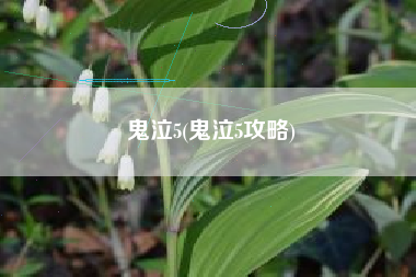 鬼泣5(鬼泣5攻略)