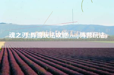 魂之刃2阵营玩法攻略(coup阵营玩法)