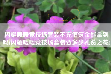 闪耀暖暖竞技场套装不充值氪金能拿到吗(闪耀暖暖竞技场套装要多少礼赞之花)