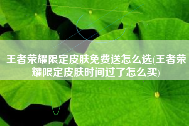 王者荣耀限定皮肤免费送怎么选(王者荣耀限定皮肤时间过了怎么买)