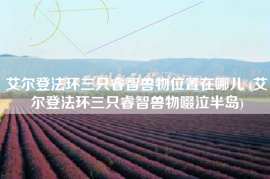 艾尔登法环三只睿智兽物位置在哪儿 (艾尔登法环三只睿智兽物啜泣半岛)