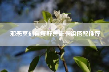 邪恶冥刻自爆野兽流卡组搭配推荐