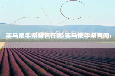 赛马娘手游背包在哪(赛马娘手游官网)