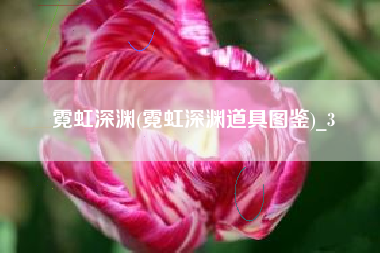 霓虹深渊(霓虹深渊道具图鉴)_3