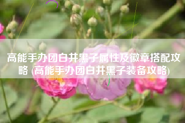 高能手办团白井黑子属性及徽章搭配攻略 (高能手办团白井黑子装备攻略)