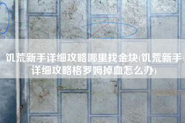 饥荒新手详细攻略哪里找金块(饥荒新手详细攻略格罗姆掉血怎么办)