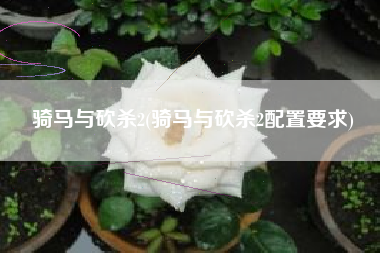 骑马与砍杀2(骑马与砍杀2配置要求)
