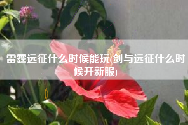 雷霆远征什么时候能玩(剑与远征什么时候开新服)