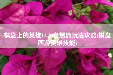 棋盘上的英雄14-30自爆流玩法攻略(棋盘西游英雄技能)