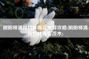阴阳师清月竹林阵容推荐攻略(阴阳师清月竹林阵容茨木)