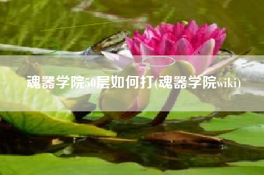 魂器学院50层如何打(魂器学院wiki)