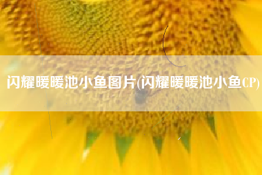 闪耀暖暖池小鱼图片(闪耀暖暖池小鱼CP)