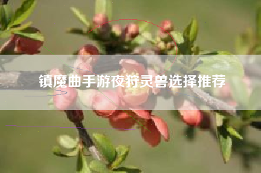 镇魔曲手游夜狩灵兽选择推荐