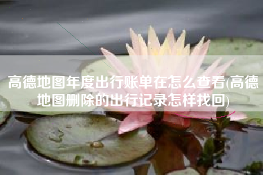 高德地图年度出行账单在怎么查看(高德地图删除的出行记录怎样找回)