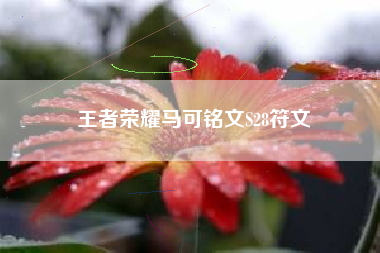 王者荣耀马可铭文S28符文
