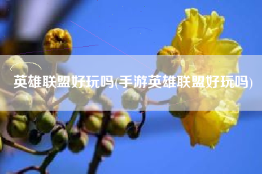 英雄联盟好玩吗(手游英雄联盟好玩吗)