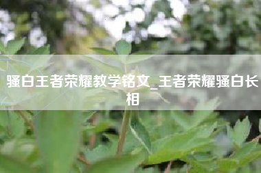 骚白王者荣耀教学铭文_王者荣耀骚白长相