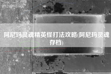 阿尼玛灵魂精英怪打法攻略(阿尼玛灵魂存档)