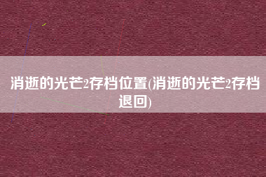 消逝的光芒2存档位置(消逝的光芒2存档退回)