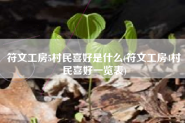 符文工房5村民喜好是什么(符文工房4村民喜好一览表)