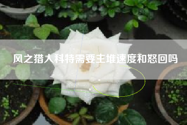 风之猎人科特需要主堆速度和怒回吗