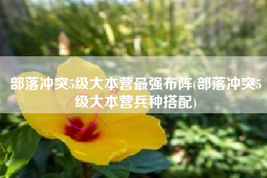 部落冲突5级大本营最强布阵(部落冲突5级大本营兵种搭配)