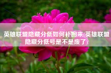 英雄联盟隐藏分低如何补回来(英雄联盟隐藏分低号是不是废了)