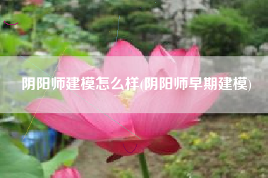 阴阳师建模怎么样(阴阳师早期建模)