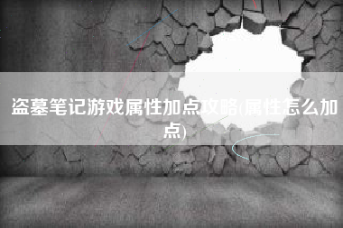 盗墓笔记游戏属性加点攻略(属性怎么加点)