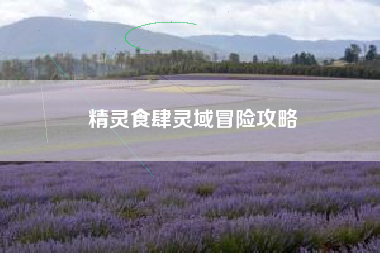 精灵食肆灵域冒险攻略