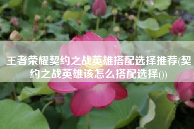王者荣耀契约之战英雄搭配选择推荐(契约之战英雄该怎么搭配选择())