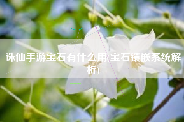 诛仙手游宝石有什么用(宝石镶嵌系统解析)