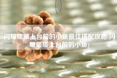 闪耀暖暖上台前的小鱼最佳搭配攻略(闪耀暖暖上台前的小鱼)