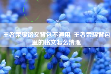 王者荣耀铭文背包不通用_王者荣耀背包里的铭文怎么清理
