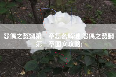 怨偶之赘婿第二章怎么解谜(怨偶之赘婿第二章图文攻略)