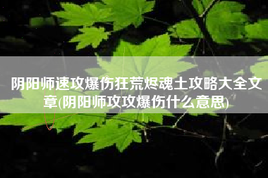 阴阳师速攻爆伤狂荒烬魂土攻略大全文章(阴阳师攻攻爆伤什么意思)