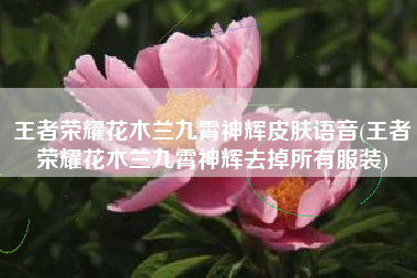王者荣耀花木兰九霄神辉皮肤语音(王者荣耀花木兰九霄神辉去掉所有服装)