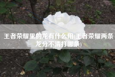 王者荣耀里的龙有什么用(王者荣耀两条龙分不清打哪条)