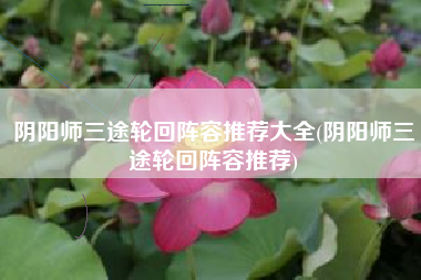 阴阳师三途轮回阵容推荐大全(阴阳师三途轮回阵容推荐)