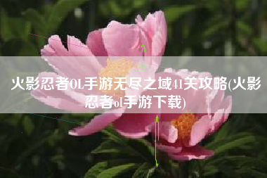 火影忍者OL手游无尽之域41关攻略(火影忍者ol手游下载)