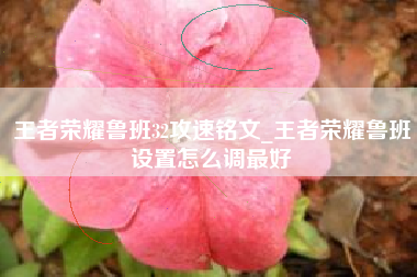 王者荣耀鲁班32攻速铭文_王者荣耀鲁班设置怎么调最好