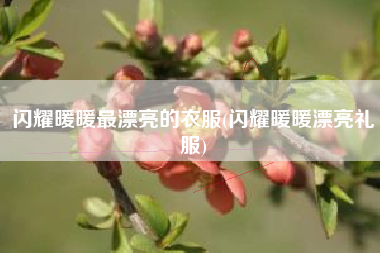 闪耀暖暖最漂亮的衣服(闪耀暖暖漂亮礼服)