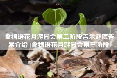 食物语花月游园会第二阶段告示谜底答案介绍 (食物语花月游园会第三阶段)