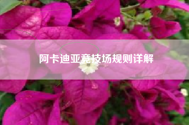 阿卡迪亚竞技场规则详解