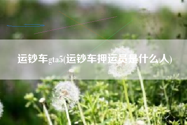 运钞车gta5(运钞车押运员是什么人)