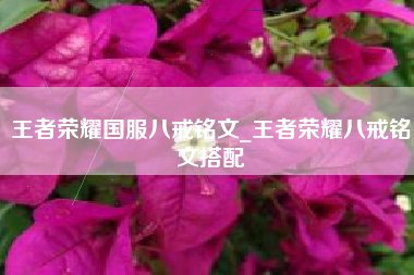 王者荣耀国服八戒铭文_王者荣耀八戒铭文搭配