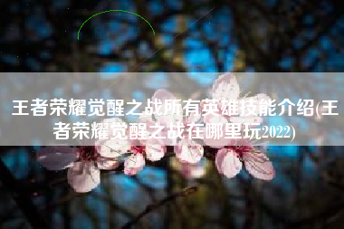王者荣耀觉醒之战所有英雄技能介绍(王者荣耀觉醒之战在哪里玩2022)