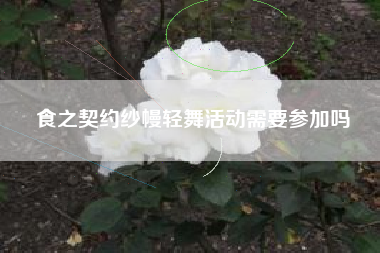 食之契约纱幔轻舞活动需要参加吗