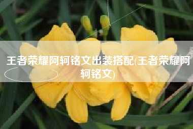 王者荣耀阿轲铭文出装搭配(王者荣耀阿轲铭文)