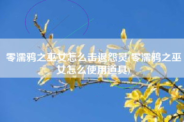 零濡鸦之巫女怎么击退怨灵(零濡鸦之巫女怎么使用道具)